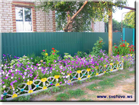 Квіти у Сватовому