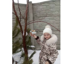 ����� ��������� ������ ������� 5