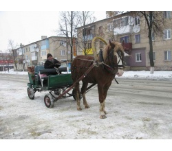 Катання на підводі взимку. Місто Сватове 2013 рік.