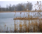 Фото природы зимой. Зимний вид на озере. Февраль 2009, Сватовский район.