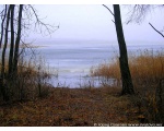 Фото природы. Зимний февральский вид на плотине. 2009 год