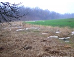 Фото природы Сватовского района. Вид края озимого поля. 2009 год