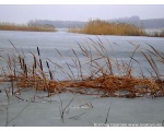 Фото природы Сватовщины. Красивый, зимний вид на озере. Февраль 2009 год