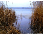 Фото природы. Февральский вид на плотине. Сватовский район 2009 год