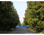 Фото "Вид фонтана Димон" в парке. 3 октября 2008 год Сватово.